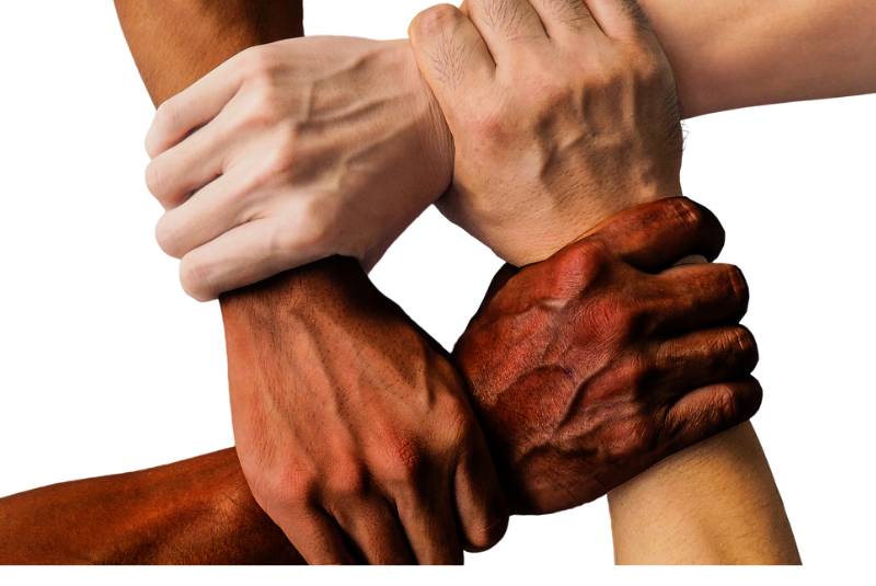Four hands holding each other, union